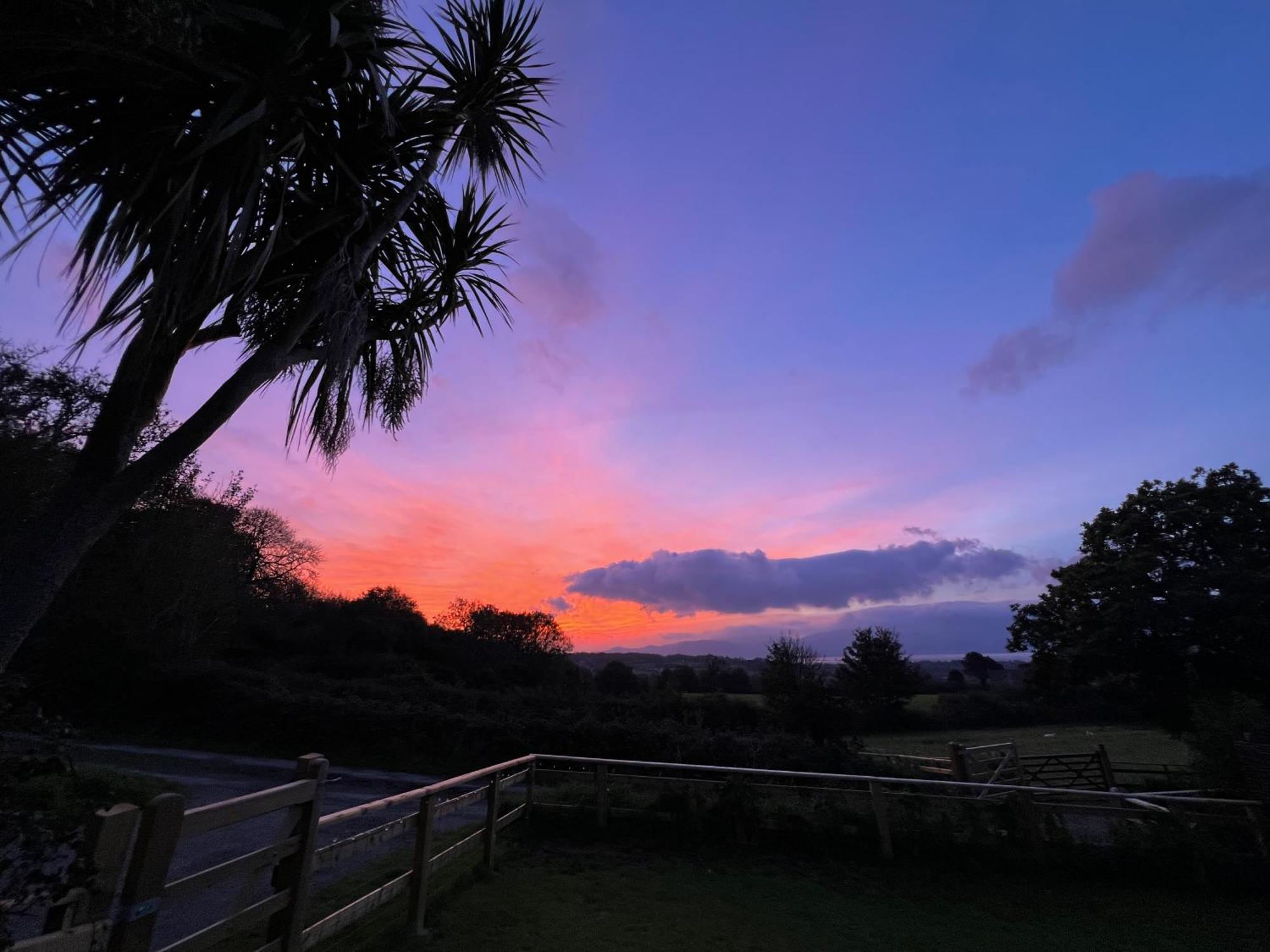 Llangoed Mountain View Shepherd'S Hut For 2 Adults, 1 Dog 빌라 외부 사진